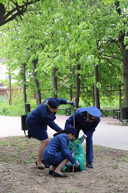 За год в Иванове высадили более 2000 деревьев и декоративных кустарников