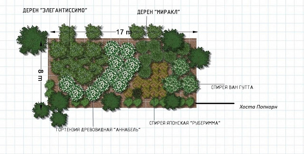 В Иванове выбрали лучшие проекты озеленения города