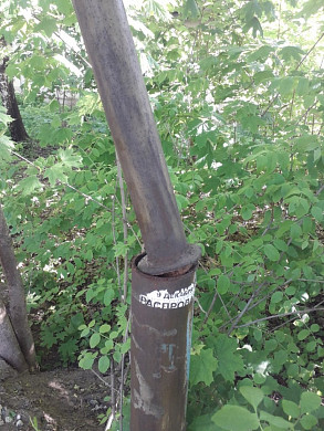В Кохме аварийный столб угрожает прохожим