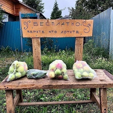В Приволжске появилась лавка с бесплатной раздачей продуктов всем желающим