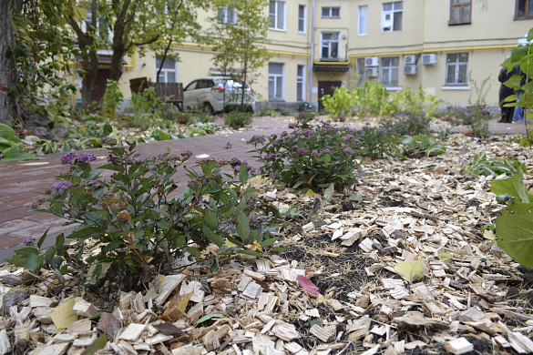 В Иванове хотят возродить старый уникальный фонтан