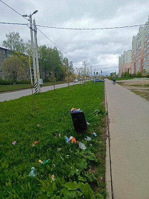 Более месяца не убирают Московский микрорайон в Иванове
