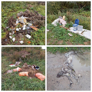В Шуе обнаружена свалка мясных отходов
