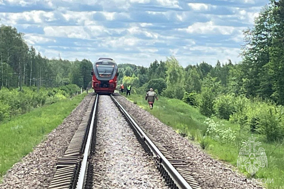  В Ивановской области столкнулись «Орлан» и грузовик 