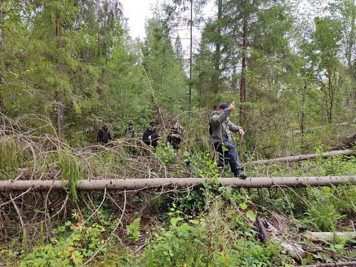  В Ивановской области пенсионерку вывели из леса через полтора дня поисков 