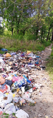 Все районы Иванова погрязли в мусоре