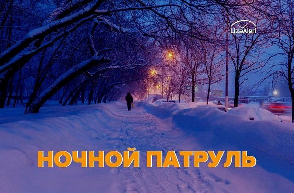 В Иванове «Лиза Алерт» каждую морозную ночь будет искать припозднившихся прохожих