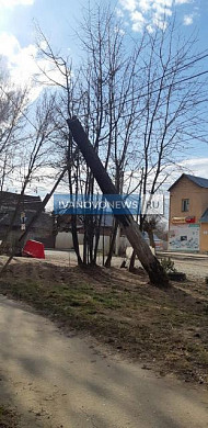 В Кохме засохшее дерево накренилось на 45 градусов и готово упасть на жителей