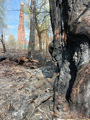  В Ивановской области неизвестные подожгли кладбище 