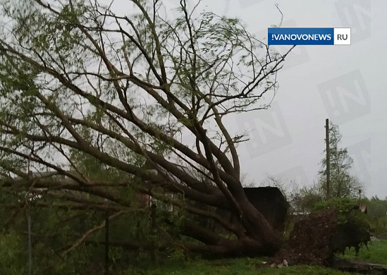 Ураган в Юрьевце: фото видео ветра и разрушений