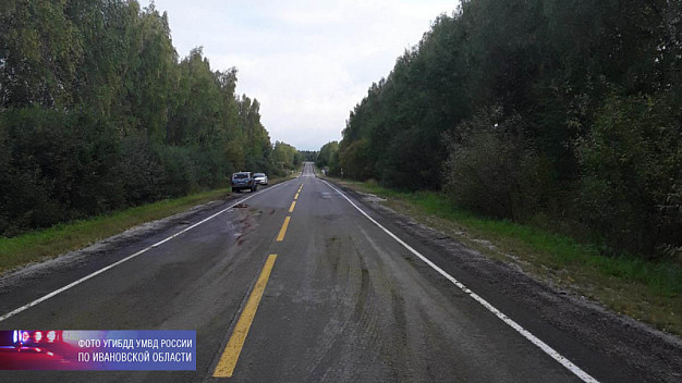  В Ивановской области два человека попали в больницу после ДТП с лосем 
