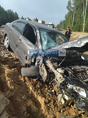 10 человек пострадали в ДТП с рейсовым автобусом на Московской трассе