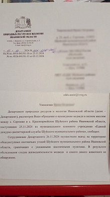 Вблизи села Сергеево обнаружили семейство медведей