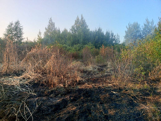  В Южском районе начались возгорания травы и торфяного настила 