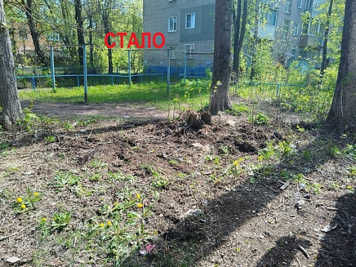 Стихийные свалки обходятся бюджету в десятки миллионов рублей 