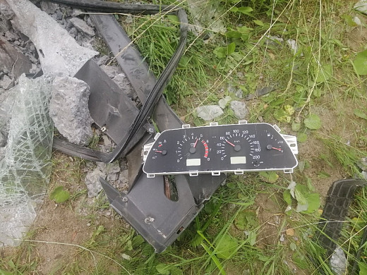 Женщина и собака погибли в жутком ДТП в Ивановской области