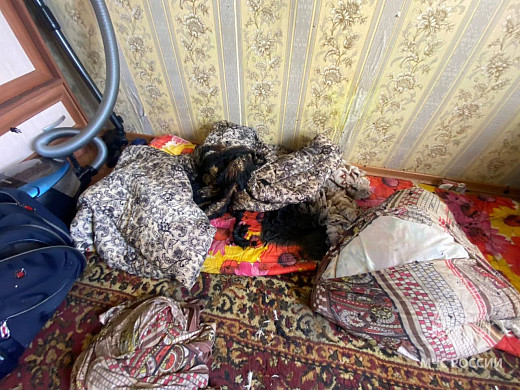 Причиной пожара на улице Громобоя в Иванове стал утюг