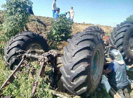 В Ивановской области пьяный тракторист провалился в силосную яму