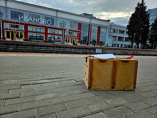 Сов из ивановского зоопарка на «Ласточке» отправили в северную столицу