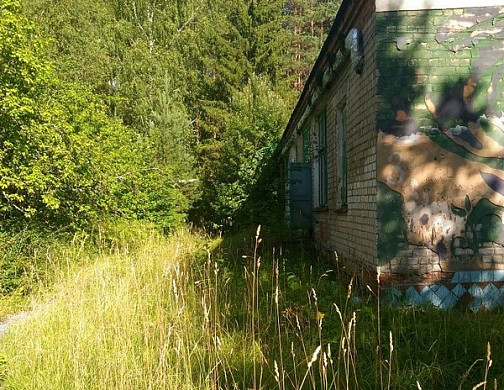 В Ивановской области уходит в суд дело о получении подростком электротравмы