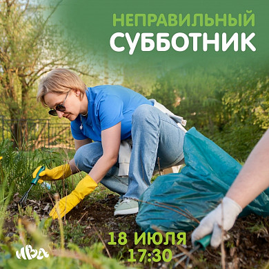 В Иванове экоактивисты планируют провести субботник в Введенском сквере