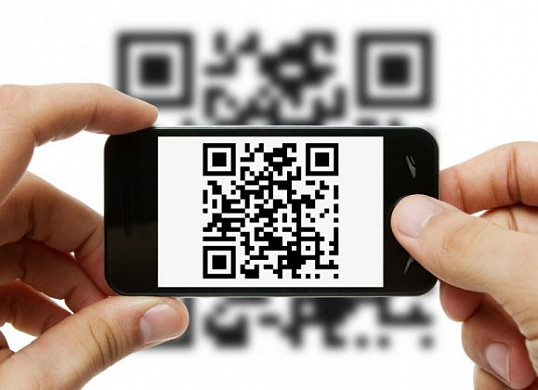 Облдума одобрила проект закона о введении QR-кодов в общественных местах