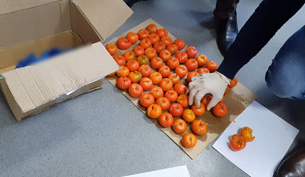 В Иванове осудили наркодилера, прятавшего наркотики в мандарины
