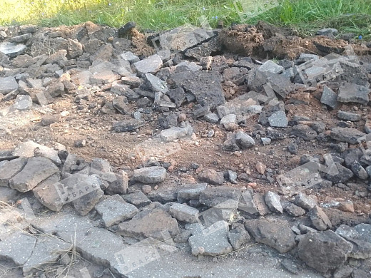 В Пучежском районе больше полугода не могут избавиться от бычков-нелегалов с лейкозом 