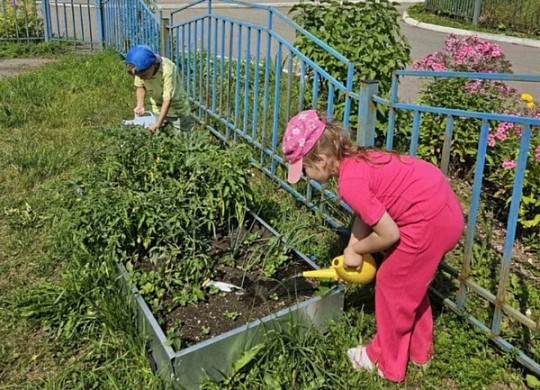  В Иванове дошколята собирают богатый урожай овощей и ягод 
