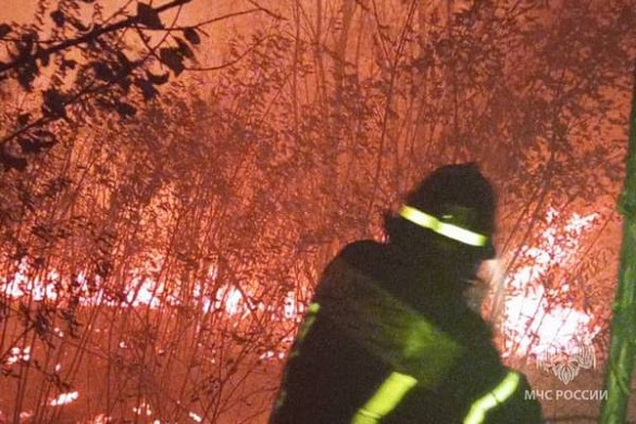 За минувшие сутки пожарные в Ивановской области 27 раз тушили траву и мусор