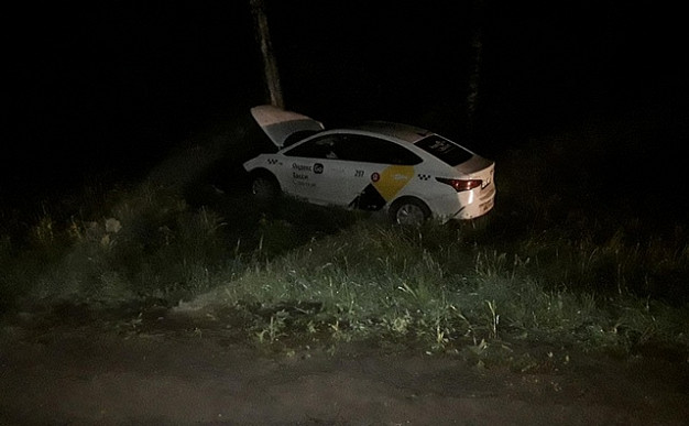 В Ивановском районе водитель столкнулся с лосем