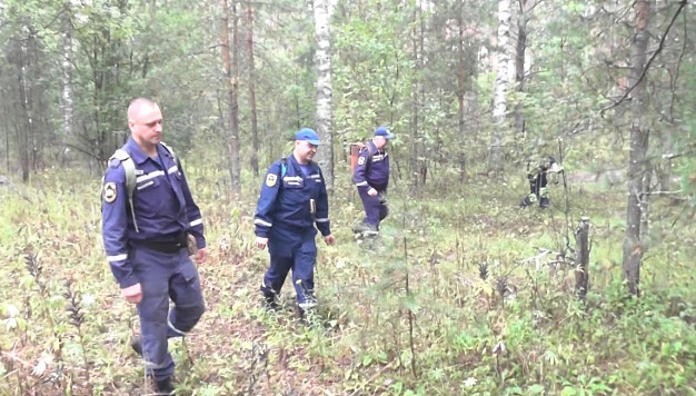 Ивановские спасатели нашли и вывели из леса четырех заблудившихся грибников
