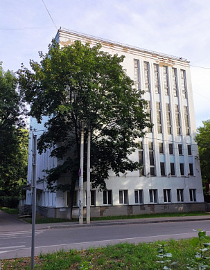 В Иванове варварски кронируют деревья, обрекая их на гибель