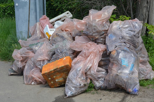 В Иванове волонтеры на сапбордах выловили из Уводи почти 200 килограммов мусора