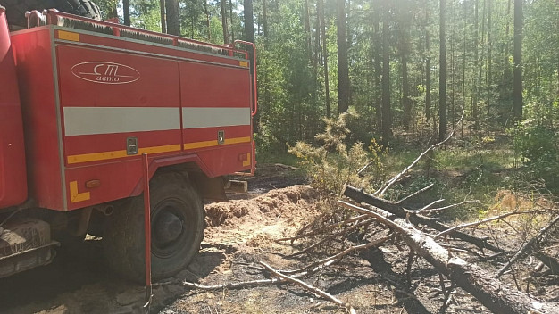  В Ивановской области ликвидировали один лесной пожар 