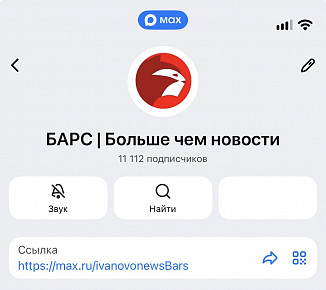 "Барс" первым в области верифицирован в MAX