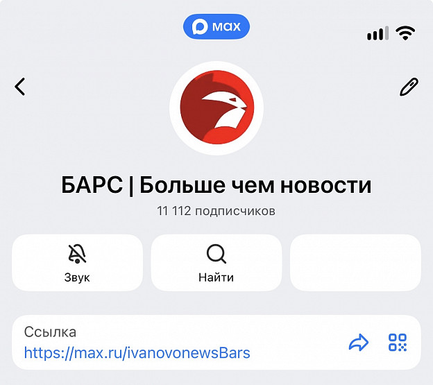 "Барс" первым в области верифицирован в MAX