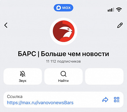 "Барс" первым в области верифицирован в MAX