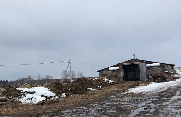  В Тейковском районе обнаружили свалку шкур и костей 