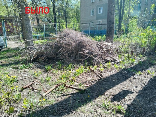 Стихийные свалки обходятся бюджету в десятки миллионов рублей 