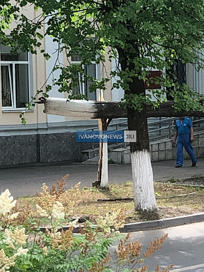 Еще одно упавшее дерево повредило сразу три машины