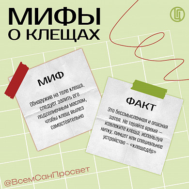 Укусы клещей в Ивановской области сходят на нет