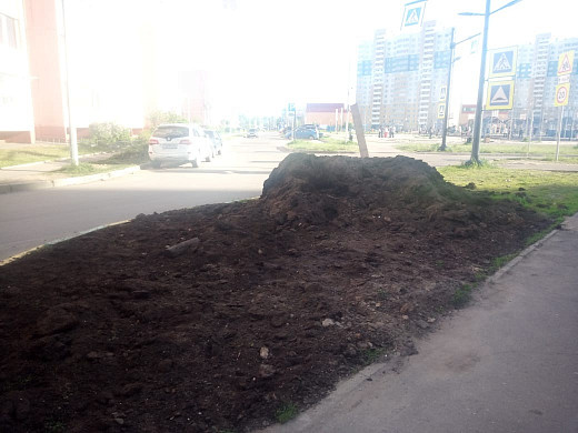 В Московском микрорайоне дворник победил в борьбе за газон
