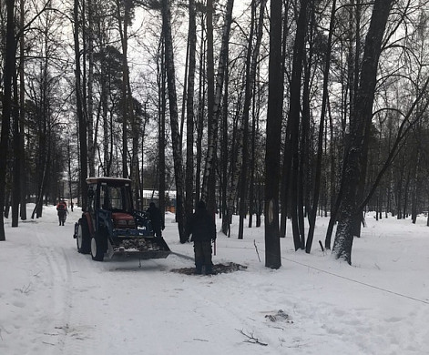 В парке Степанова началось благоустройство лесной аллеи 