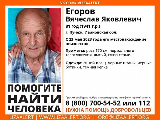  Для поисков 81-летнего дедушки из Пучежа требуются записи с видеорегистраторов 