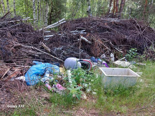 В Южском районе рядом с рекой свалка мусора