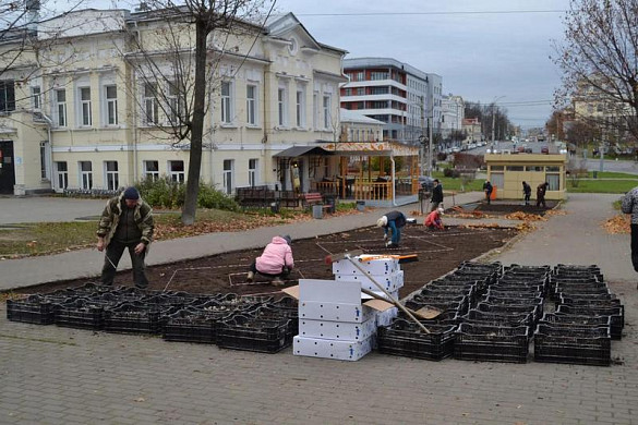 Почти 100 тысяч тюльпанов украсят Иваново весной
