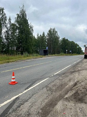 В Шуйском районе водитель легковушки погиб при столкновении с лесовозом
