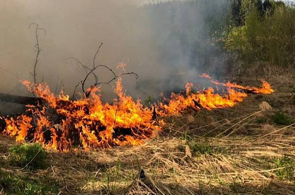 За минувшие сутки в Ивановской области пожарные тушили мусор, траву и деревья