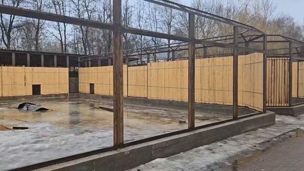 Волки в Ивановском зоопарке переедут в новый вольер